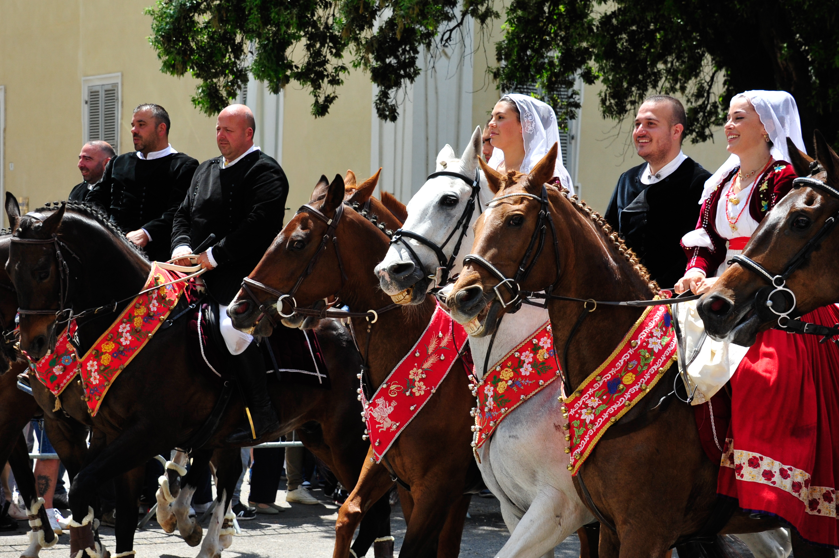 Horses in
                Parade